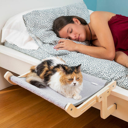 HamacaCat
