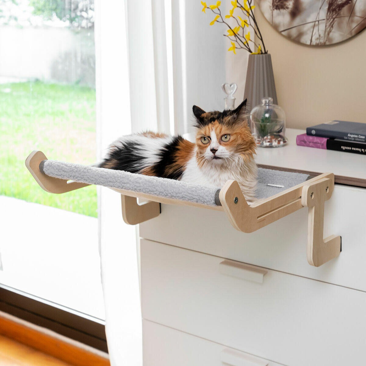 HamacaCat